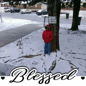 Meet your Posher, Darlene